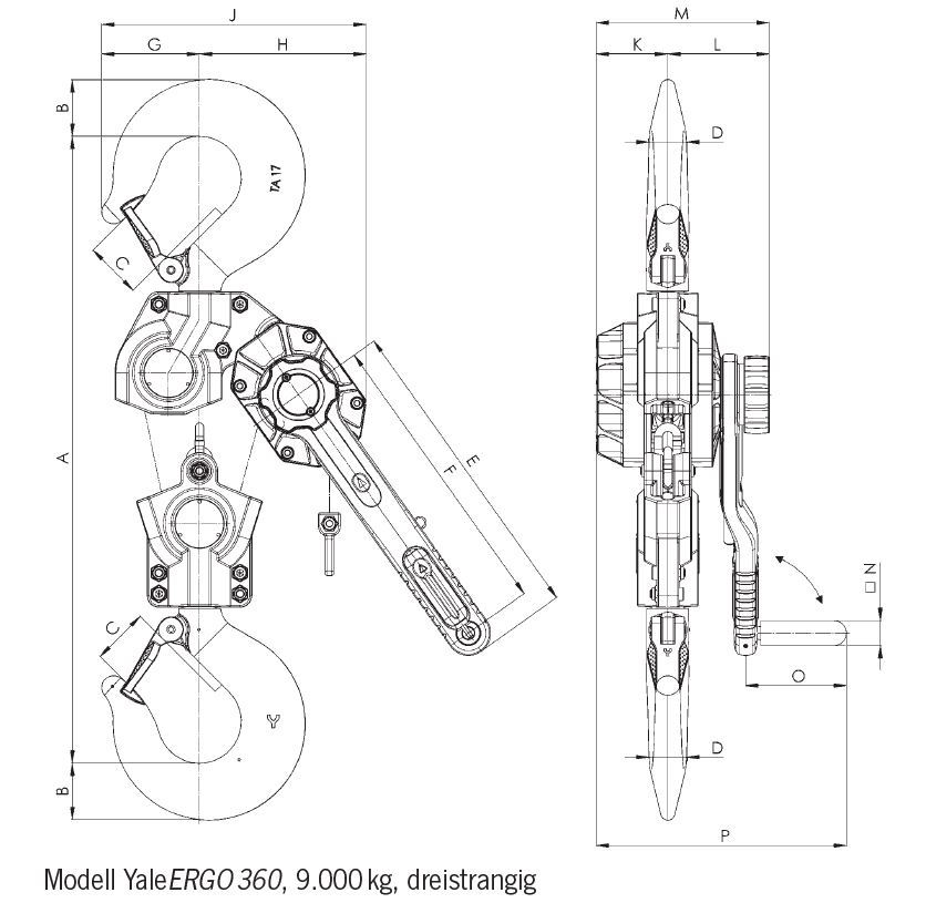 yaleergo360.JPG (3)